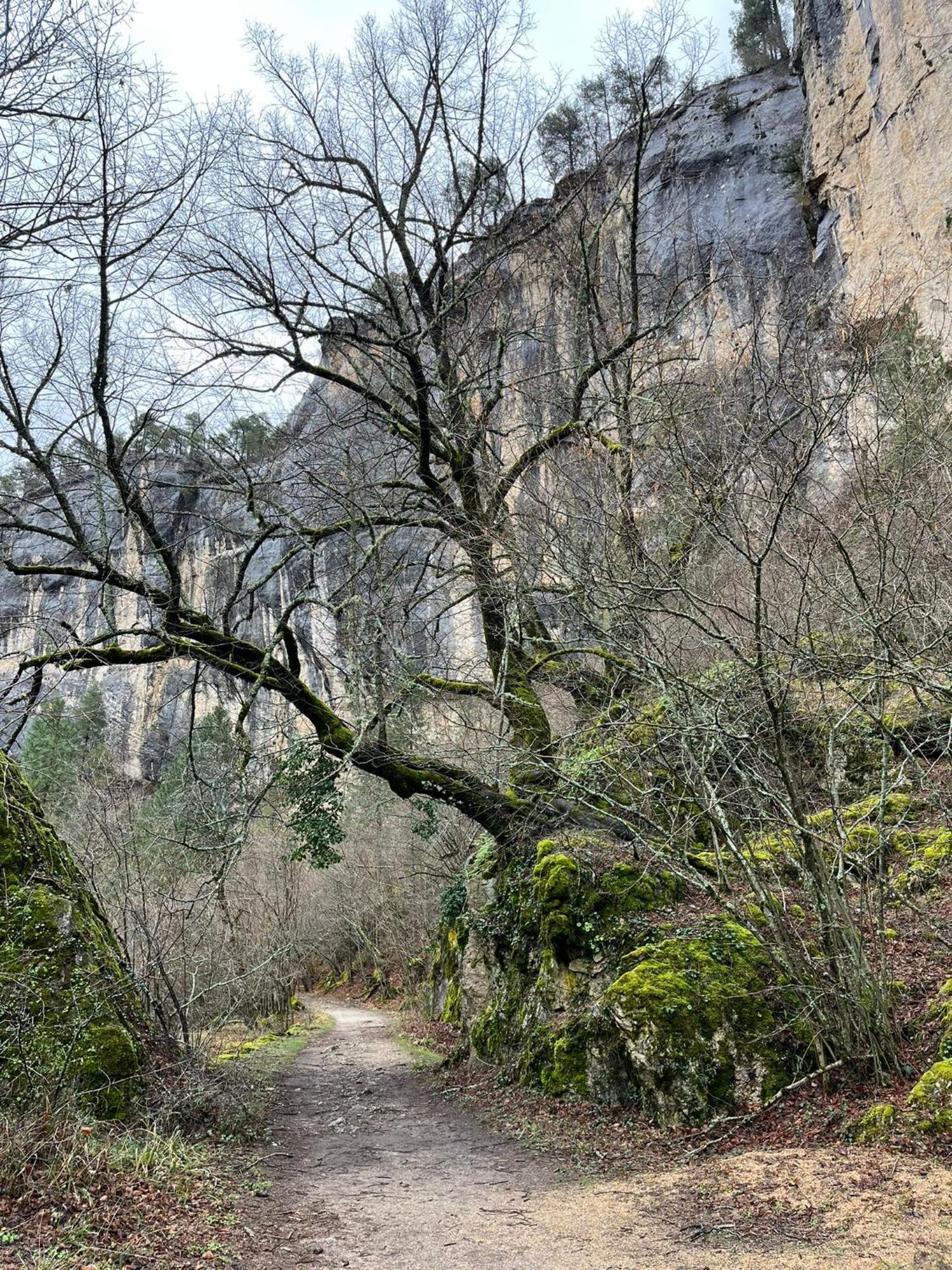 Hostal Rural Amador Puente de Vadillos エクステリア 写真